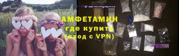 шишки Гусев