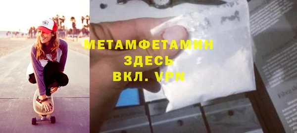 шишки Гусев