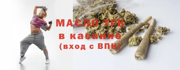 шишки Гусев