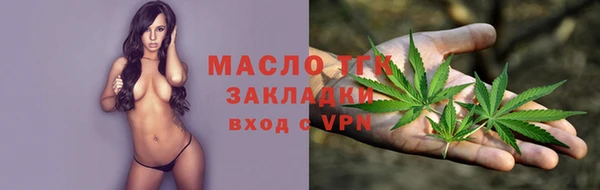 шишки Гусев