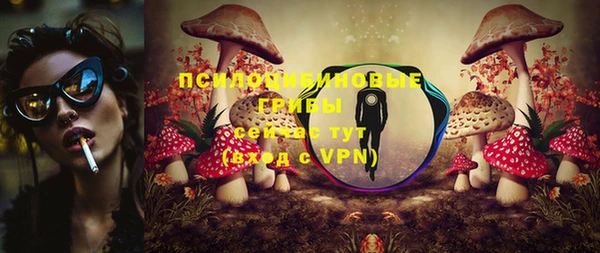 2c-b Гусиноозёрск