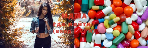 шишки Гусев