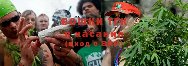 шишки Гусев