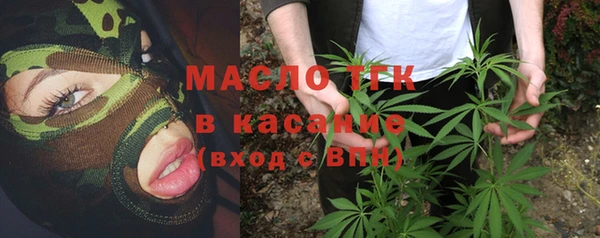 шишки Гусев