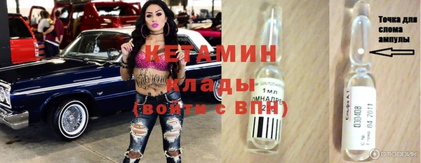 шишки Гусев