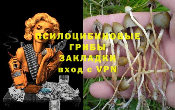2c-b Гусиноозёрск